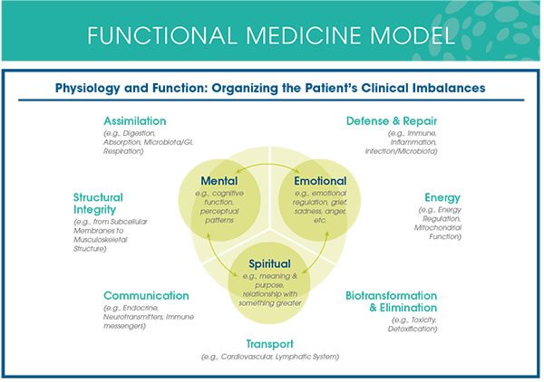 Functional Medicine Model HPHI Lafayette